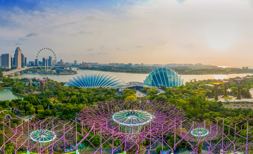 Gardens by the bay and skyline 